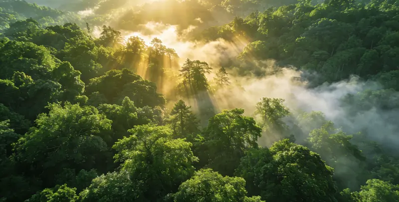 曲靖肺癌120基因ctDNA突变检测(血液）图片1