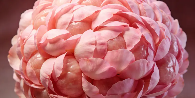 曲靖BRCA1/2乳腺癌卵巢癌基因检测图片1